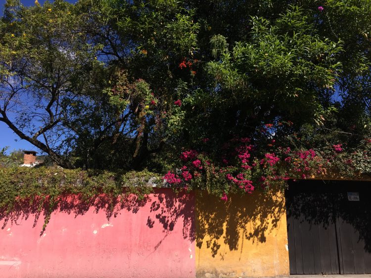 antigua guatemala colors