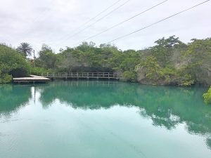 nymph lagoon santa cruz