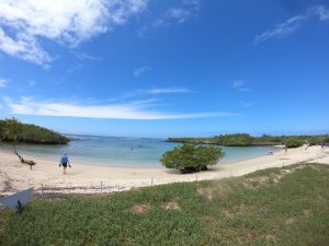 playa alemania galapagos