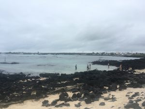 playa estacion snorkeling darwin center