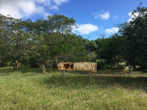 rancho primicias galapagos